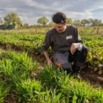 Trouvez Votre agriculteur lyon Idéal