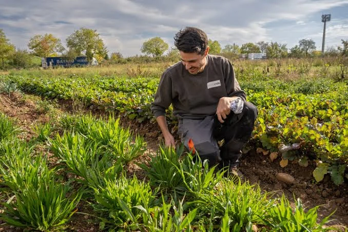 Trouvez Votre agriculteur lyon Idéal